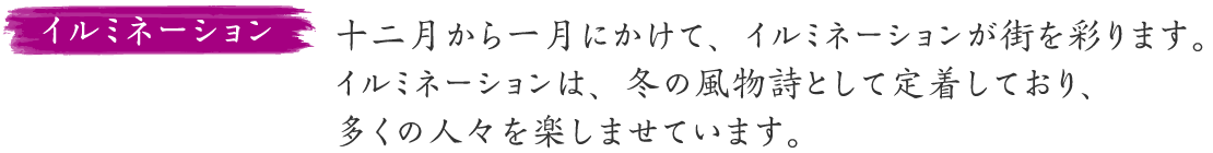 イルミネーションの説明